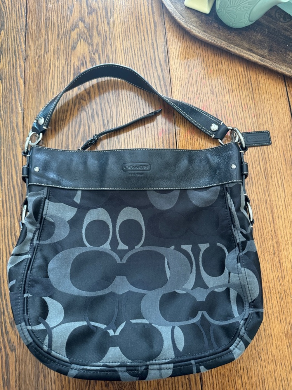 Coach Zoe Optic Hobo Bag